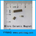 Tiny ring Micro magnet for Precision equipment